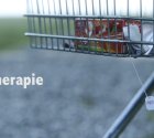 Therapie